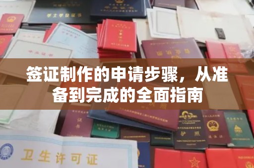 南陵签证制作的申请步骤，从准备到完成的全面指南