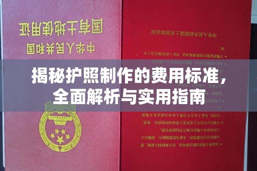 邵阳揭秘护照制作的费用标准，全面解析与实用指南